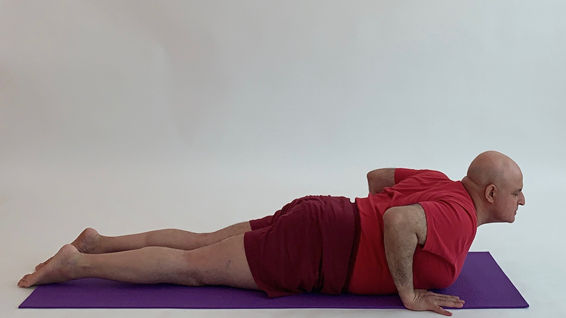 11 Bhujangasana (Cobra Pose)