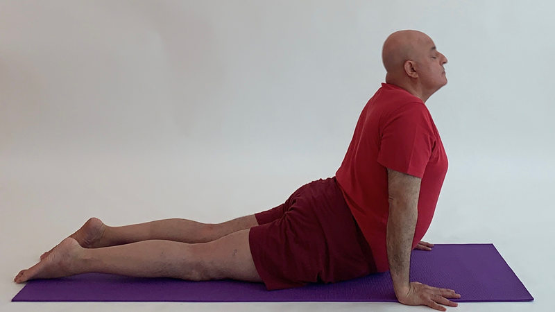 12 Cobra Pose