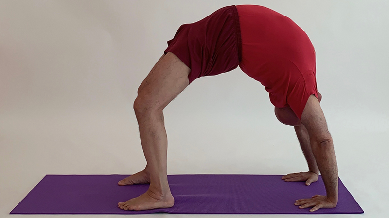 14 Urdhva Dhanurasana (Wheel Pose)