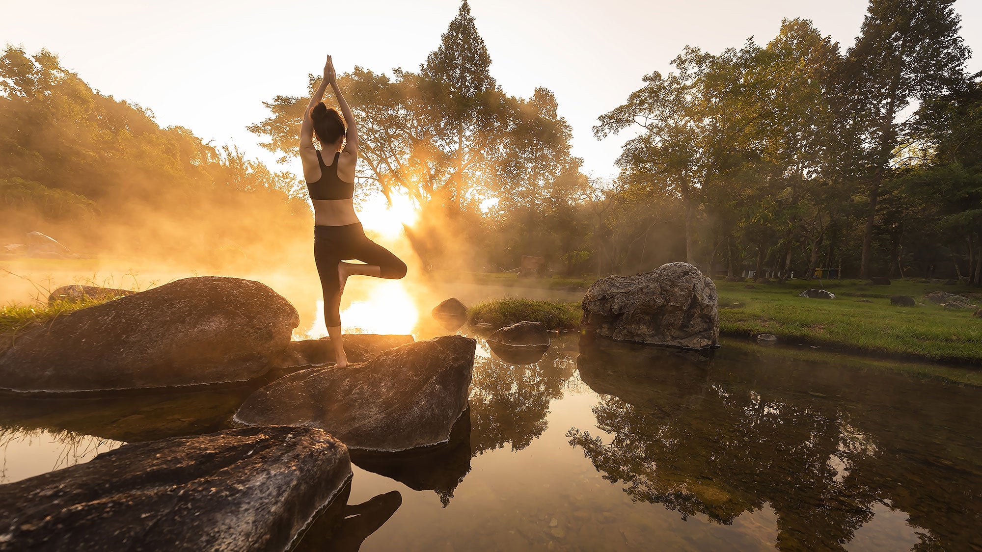 iStock-997496422 Tree pose in nature, morning yoga