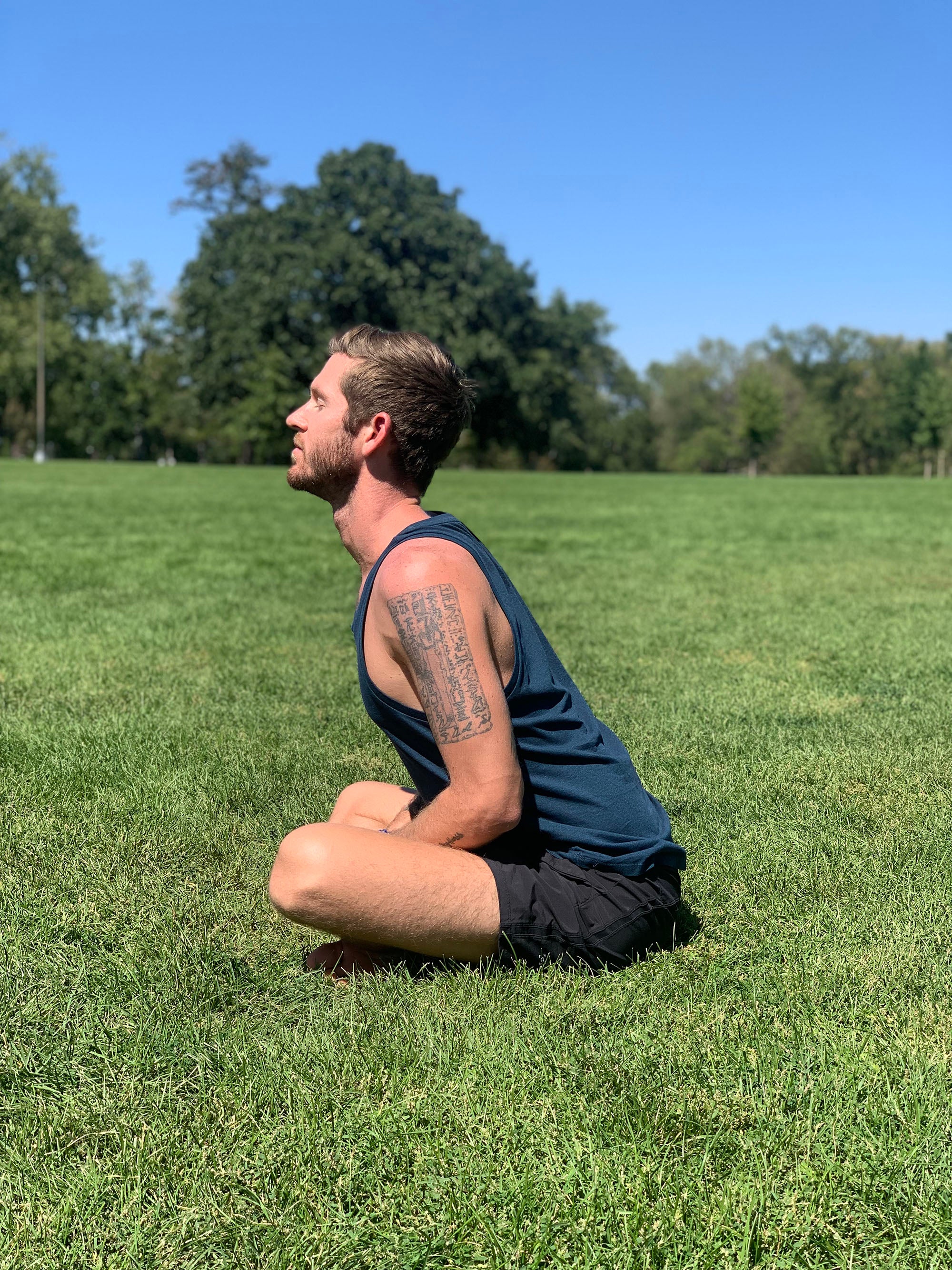 spinal flex2 None