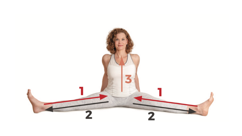 13-Wide-Angle-Seated-Forward-Bend Wide-Angle Seated Forward Bend