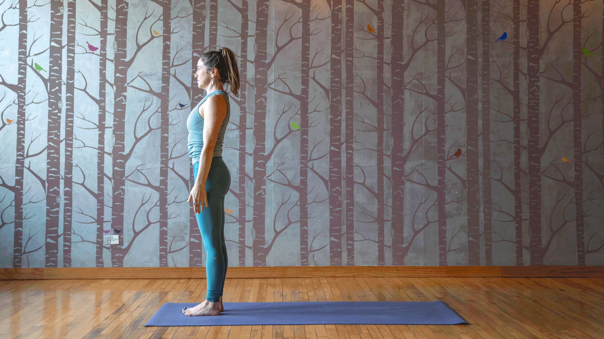 SunSalutation None