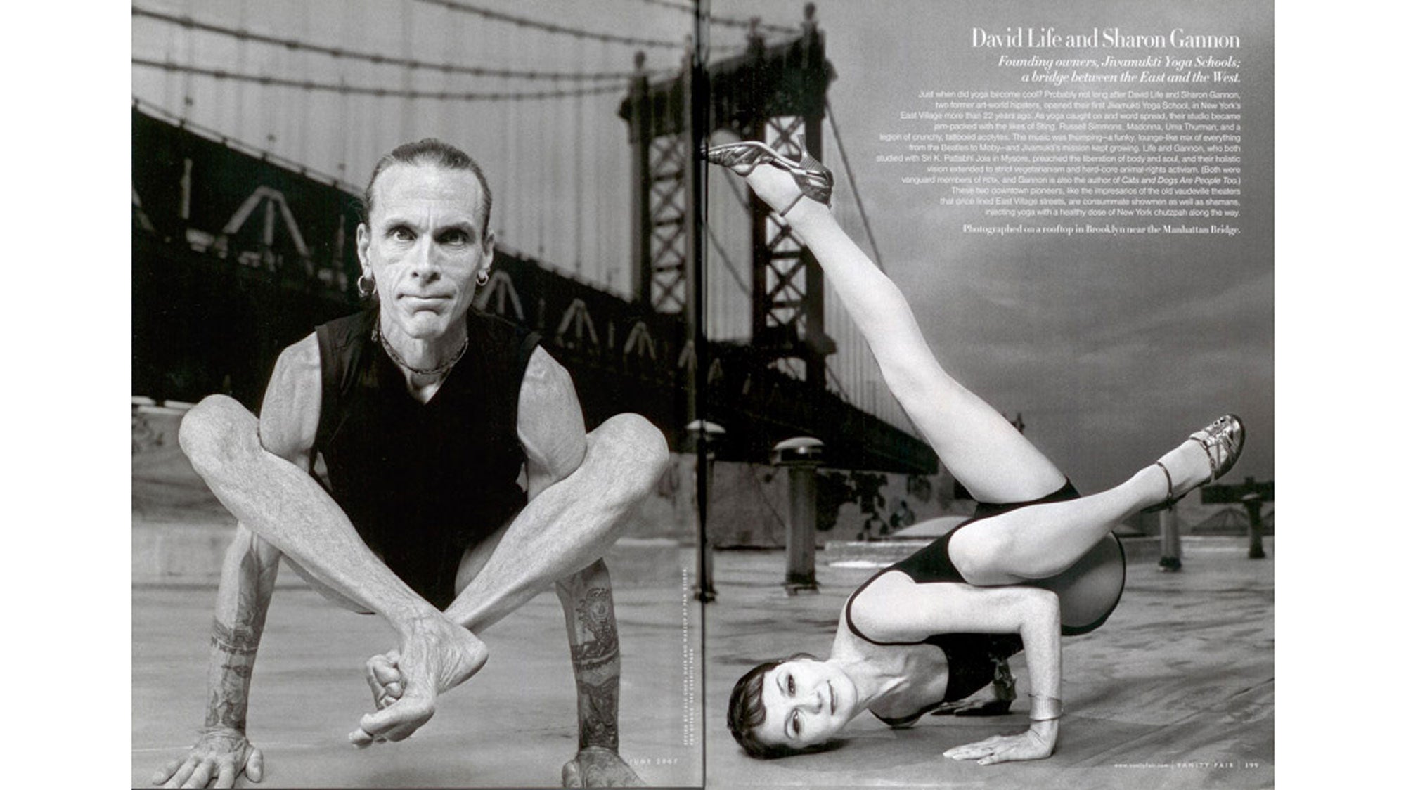 VanityFair None