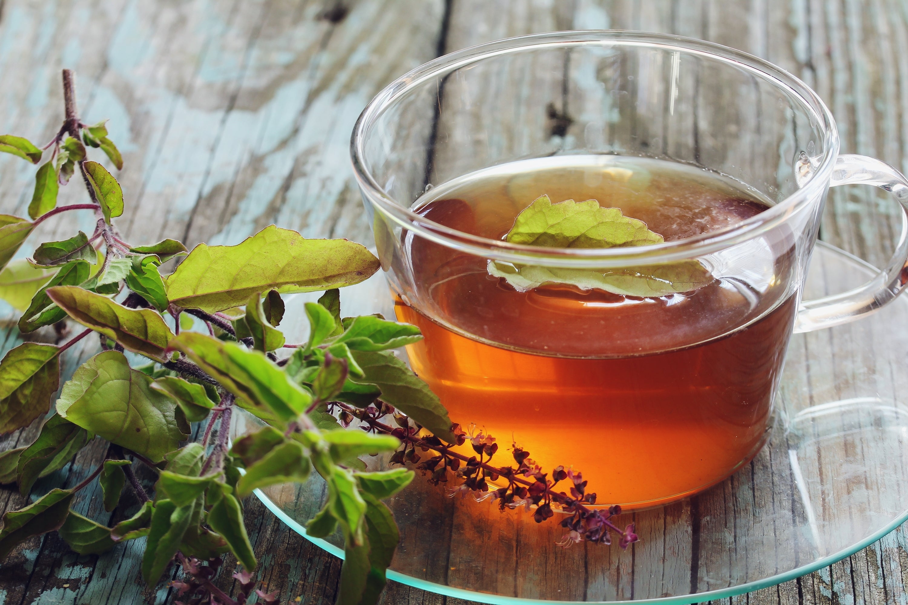 tulsi-tea a cup of tulsi tea