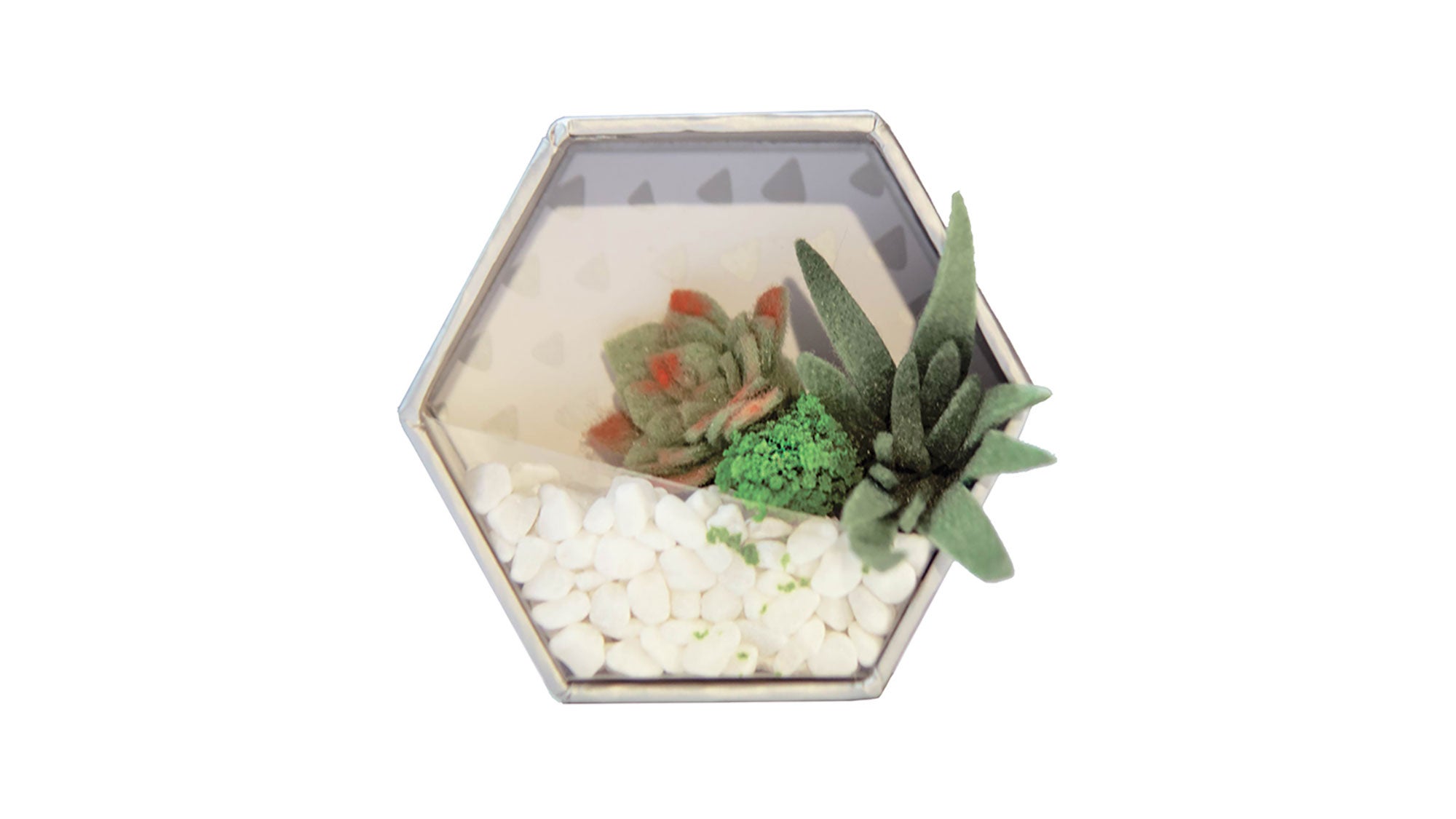 EP_315_ABE_1771_bjk_resized Craft Crush Mini Terrariums Kit