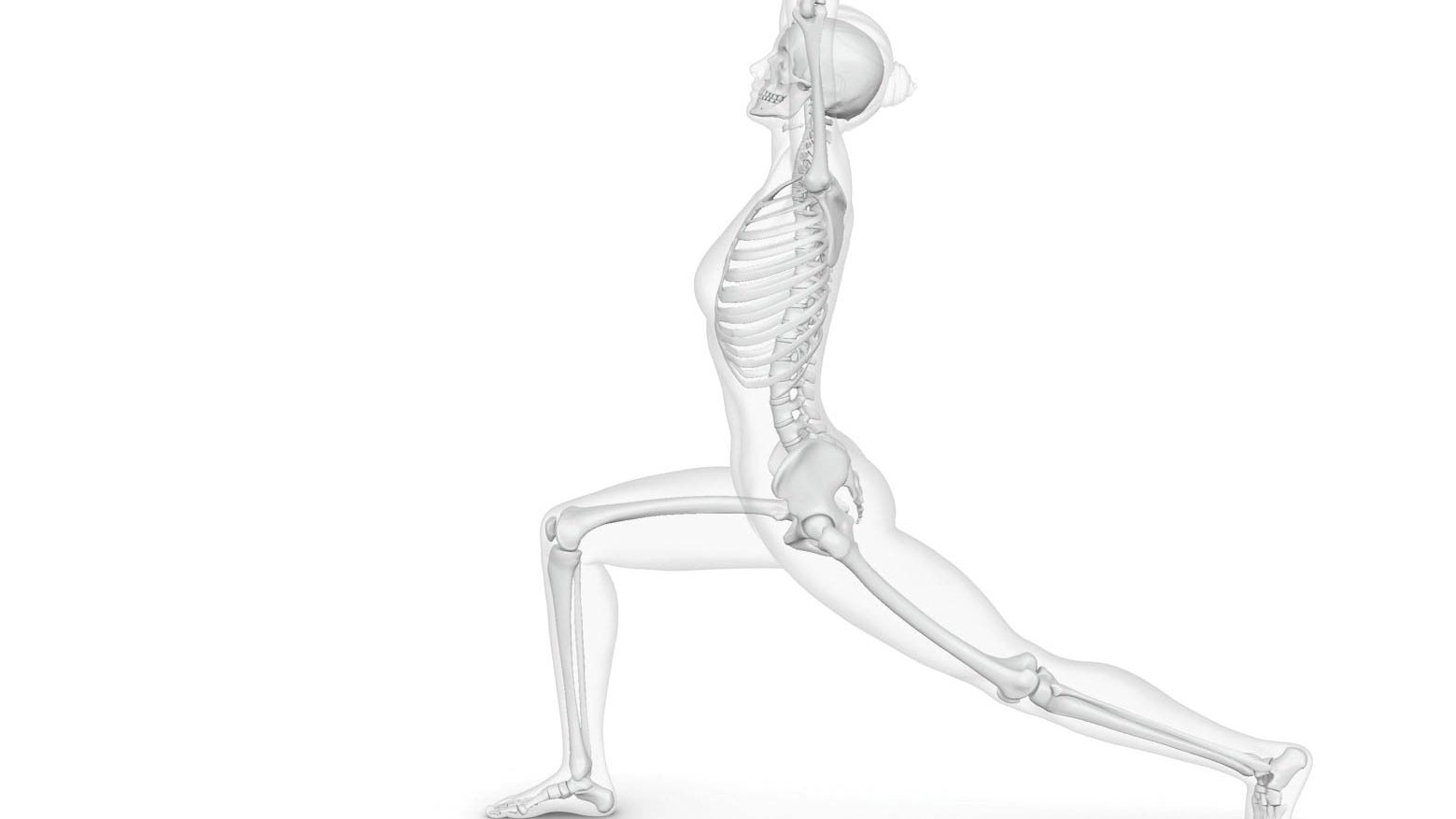 Anatomy-316-01275765_im None