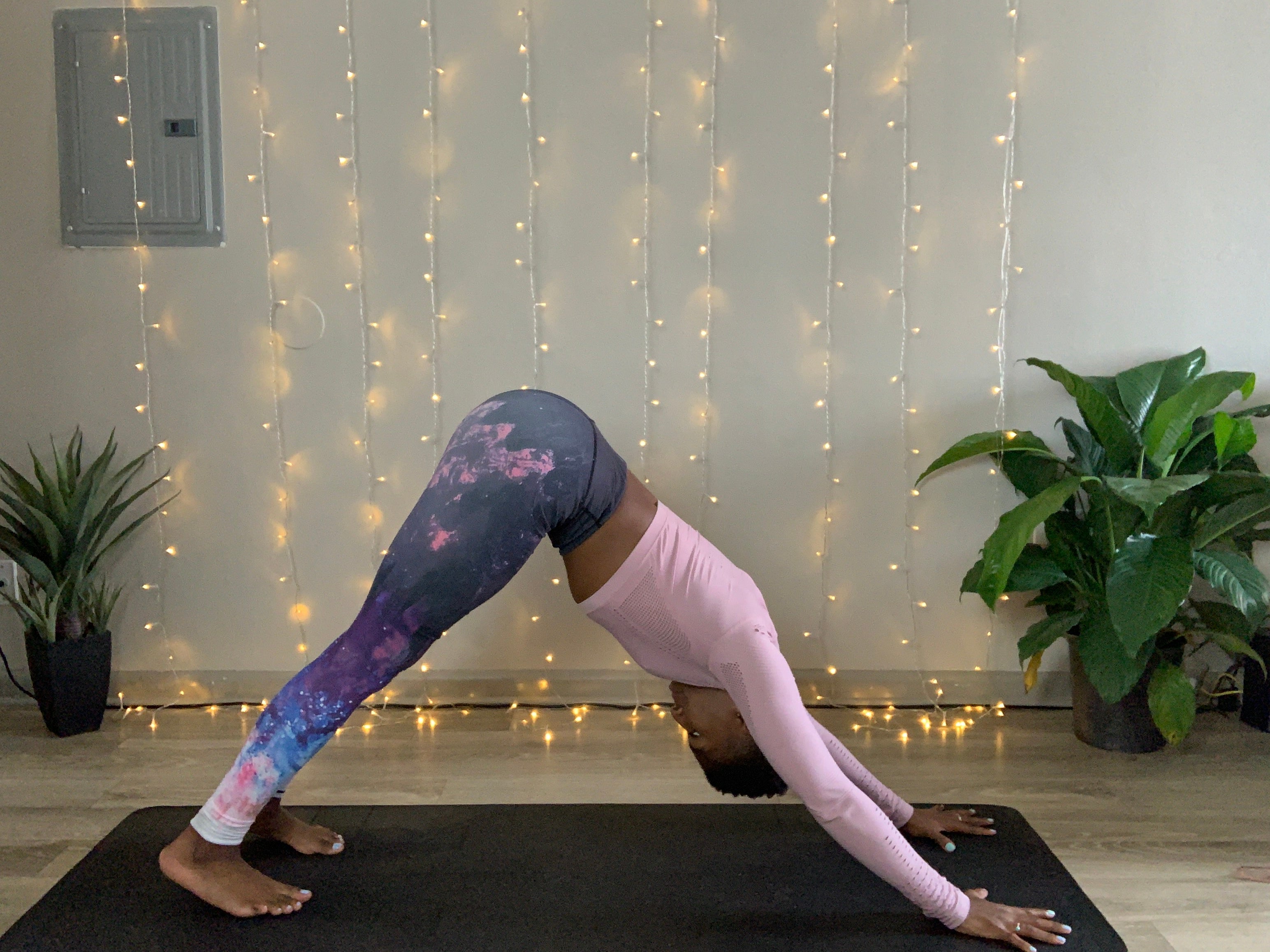 downward facing dog None