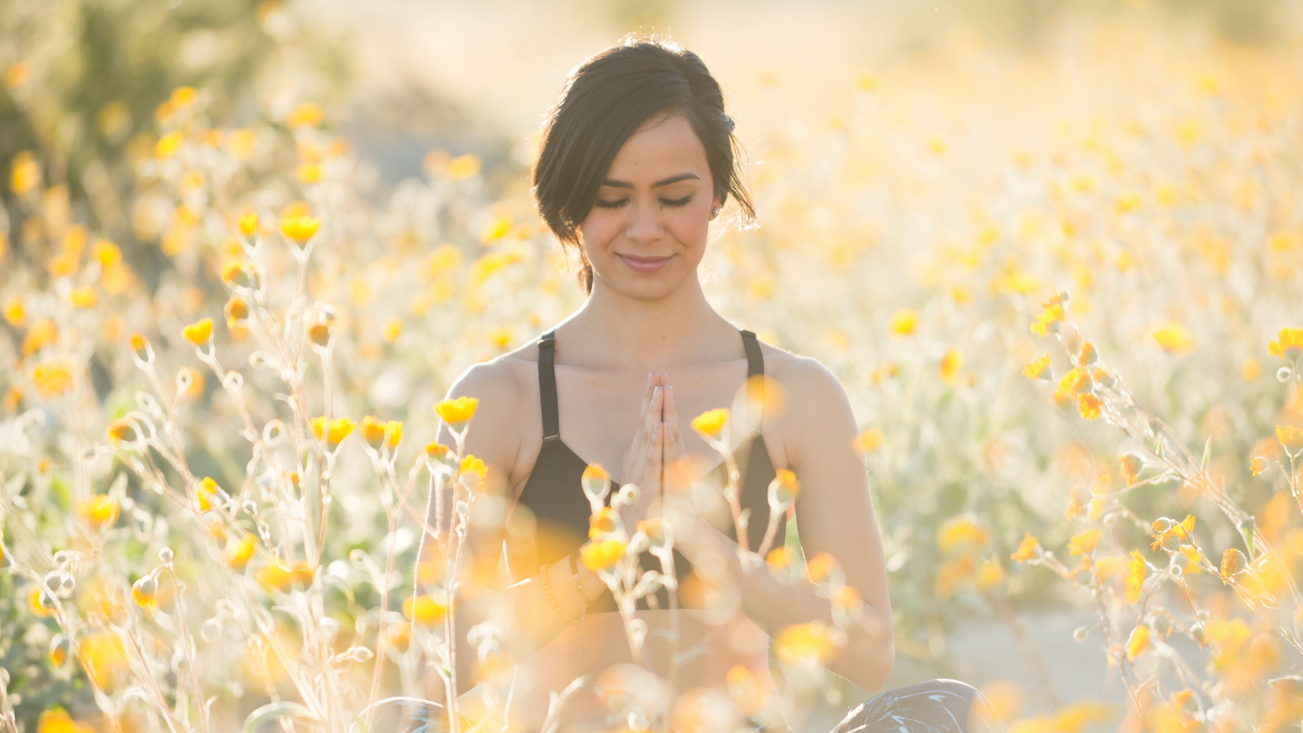 iStock-661970748 None