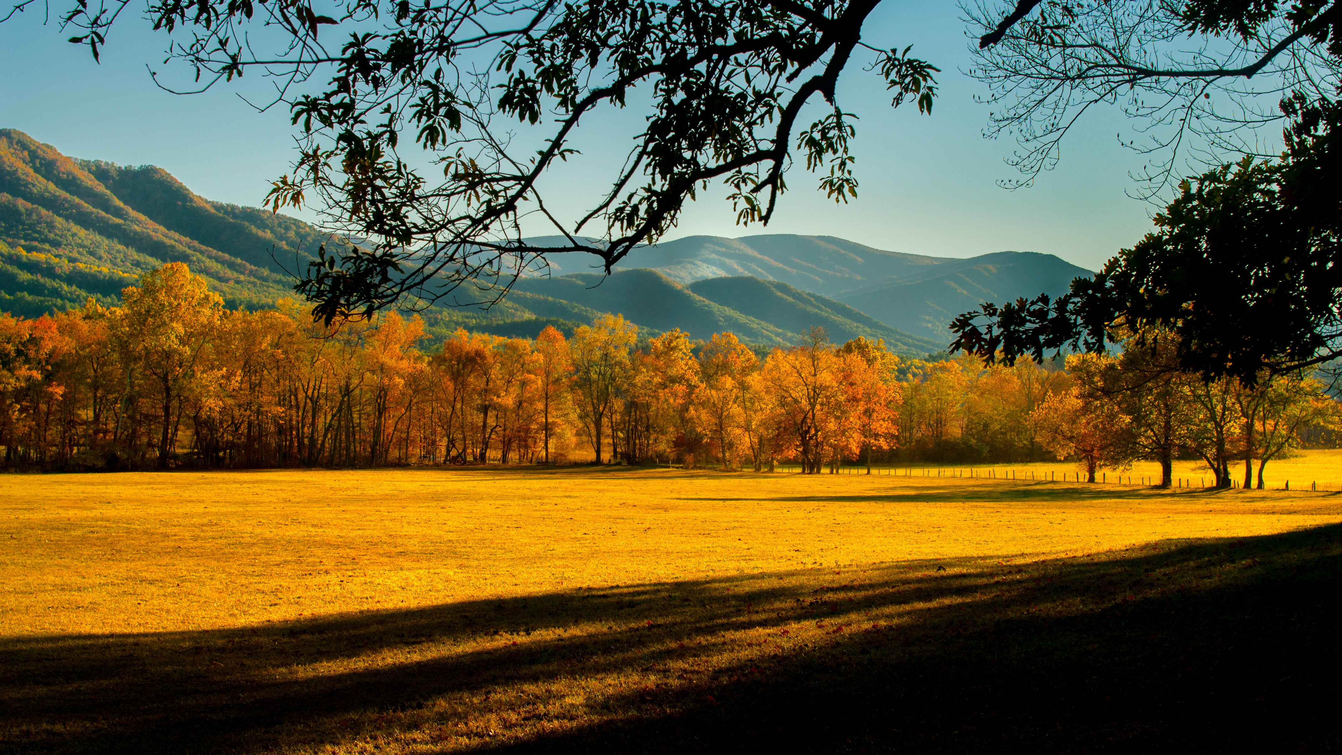 yj-travel-smokies None