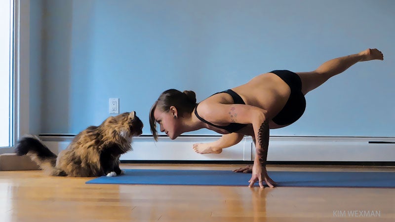 D Then inhale both arms to the floor behind you as you lift your hips. Hold the breath for 2 counts. Exhale back to the starting point. Repeat holding your breath for 3 counts. Exhale to lower. Repeat on the other side, before bringing both arms up. 