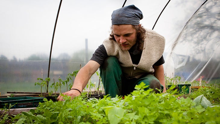 gardening, farming gardening, farming