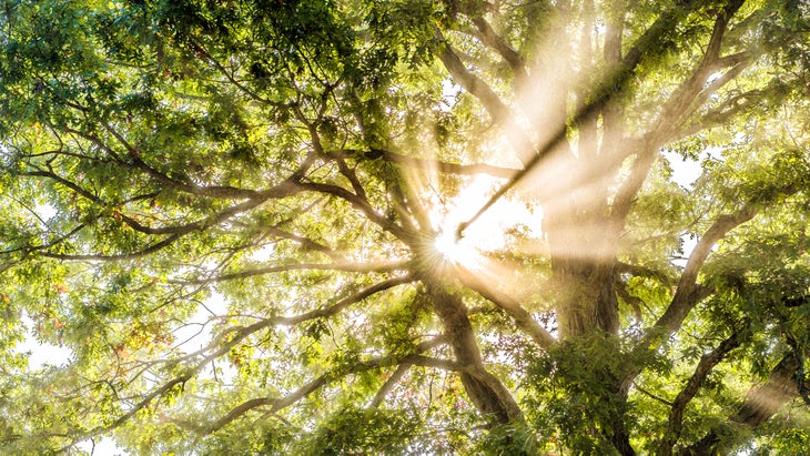 iStock-900206994 4 Spiritual Teachers Share Their Search for Enlightenment