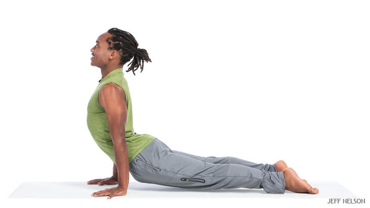 Upward Facing Dog Pose Urdhva Mukha Svanasana Upward Facing Dog Pose Urdhva Mukha Svanasana Lower-back pain