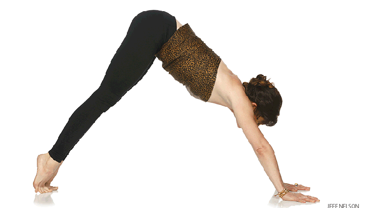shaktiwaves downward facing dog, adho mukha svasana