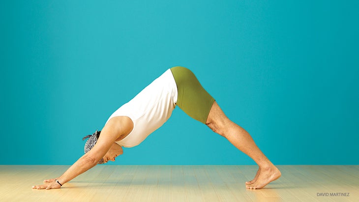 mc_239_01_fnl-credit Downward FAcing Dog Baron Baptiste Downward FAcing Dog, adho mukha svasana, Baron Baptiste