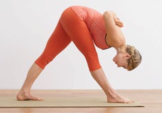 Story Image 16258 parsvottanasana