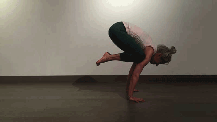 kathrynbudig-crow-chaturanga-jumpback-feb2016