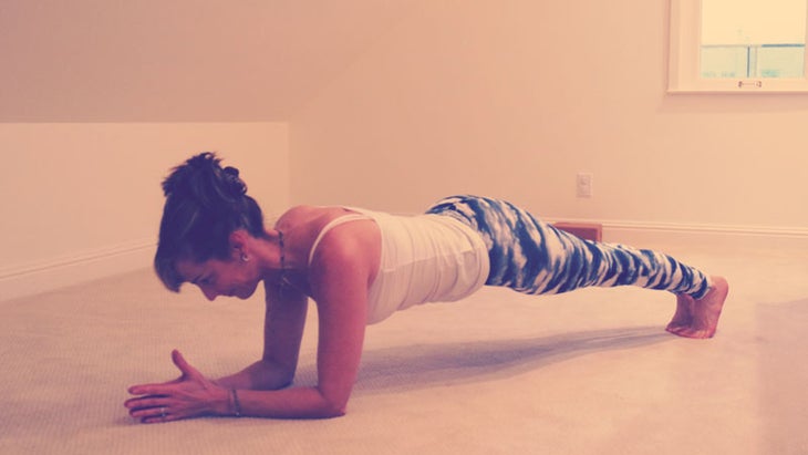 Stephanie Snyder Dolphin Plank stephsynder-7 Stephanie Snyder Dolphin Plank