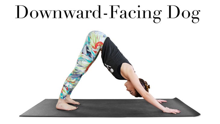 Downward_Facing_Dog-erin-motz Downward_Facing_Dog-erin-motz