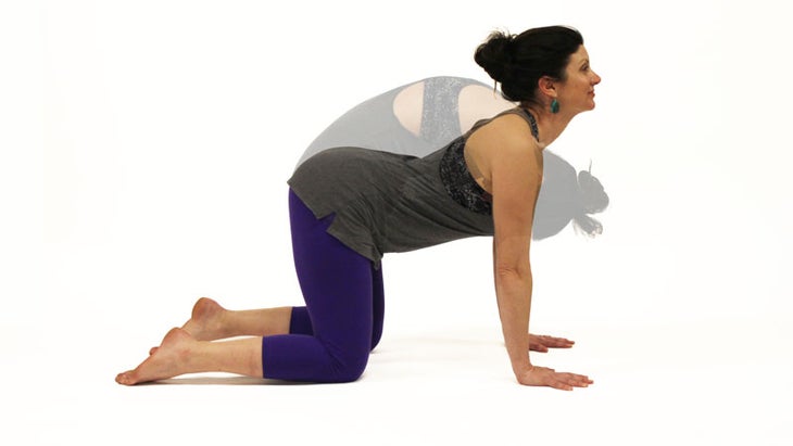 Gina Caputo-hangover-cat-breath-bidilasana Gina Caputo--cat-breath-bidilasana