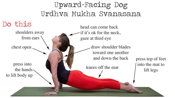 Puppy yoga