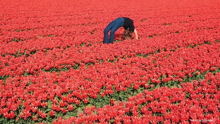 wheel pose flowers garden outdoor backbend upward bow Urdhva Dhanurasana
