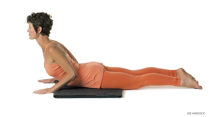 201506-yjmag-cobra-viniyoga