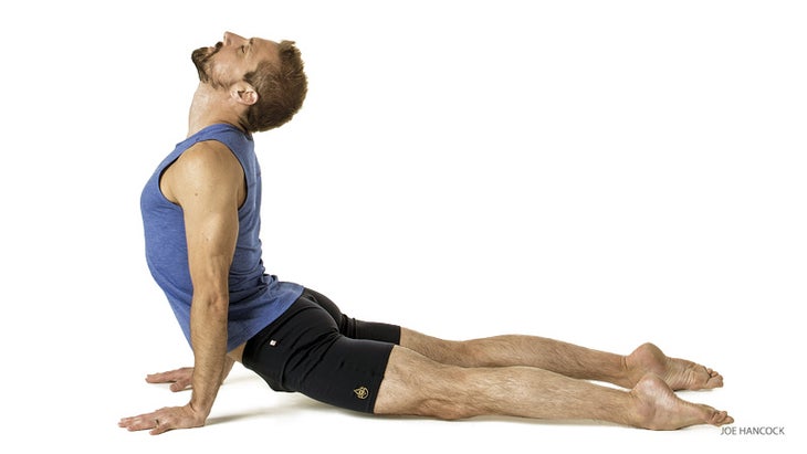 201506-yjmag-updog-ashtanga
