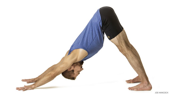 Downward Facing Dog Ashtanga Downward Facing Dog Ashtanga