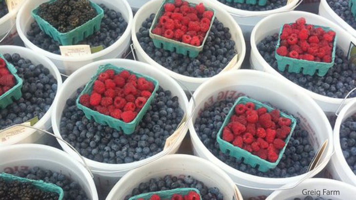 summer berries summer berries
