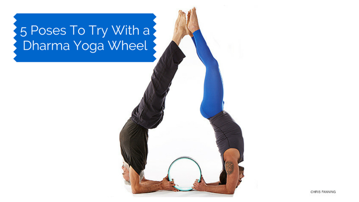 5PosestoTryWithDharmaYogaWheel 5 Poses to do with a Dharma Yoga Wheel