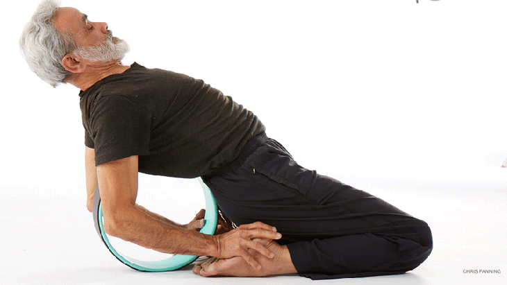dharma-2 hero pose with dharma wheel assist, virasana