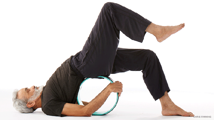 dharma-3 dharma wheel