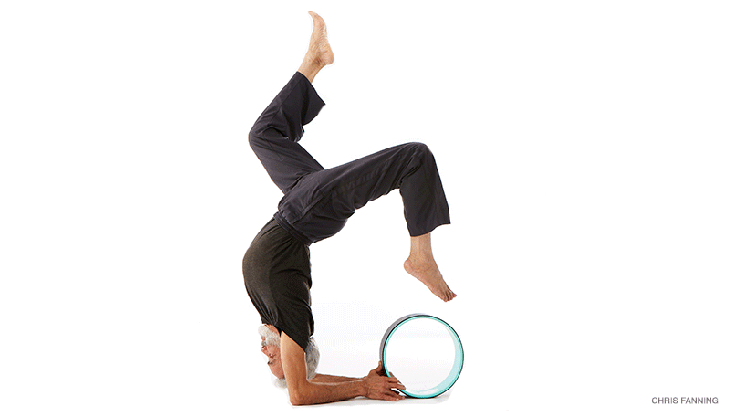 dharma-4 dharma wheel, forearm stand with hollowback and dharma wheel assist, pincha maryurasana