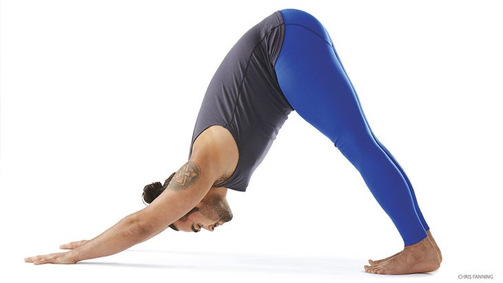hp_276_09_FNL downward facing dog pose, adho mukha svasana