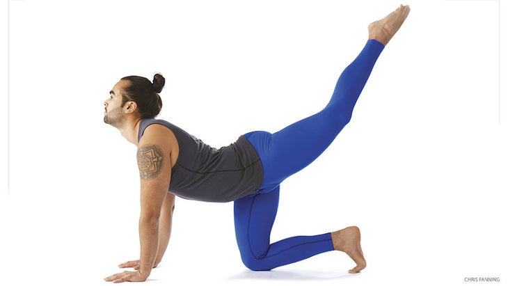 hp_276_15_FNL-cow-variation table top pose with leg extension