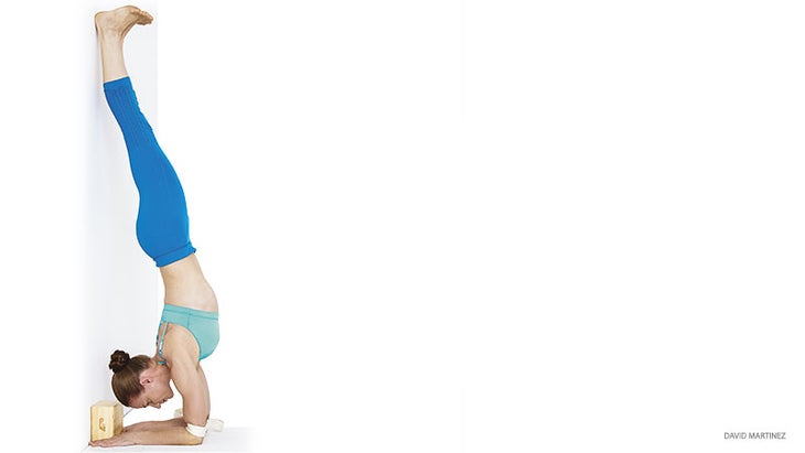 newMATY_15_0184_FNL-pincha forearm stand with wall assist, pincha maryurasana