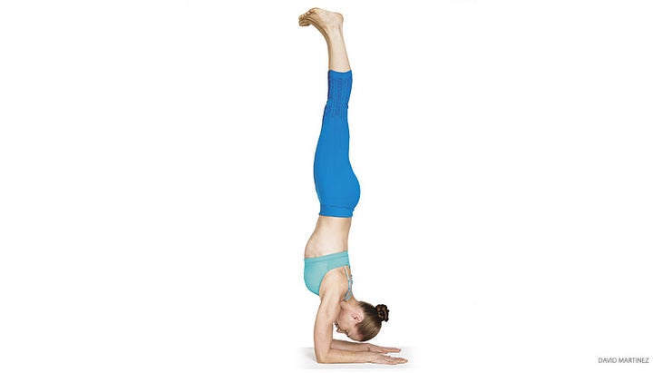 "forearm stand pose