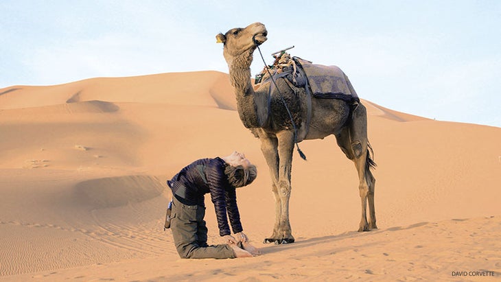 Focus_277_03_FNL camel pose, ustrasana, desert