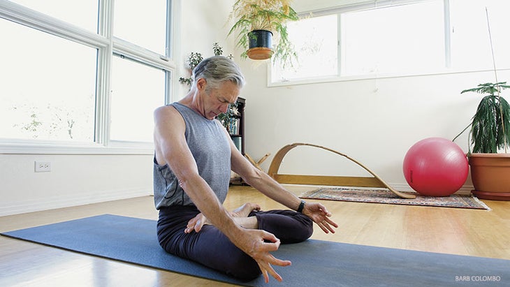 Richard Freeman, easy seat, sukhasana, home practice