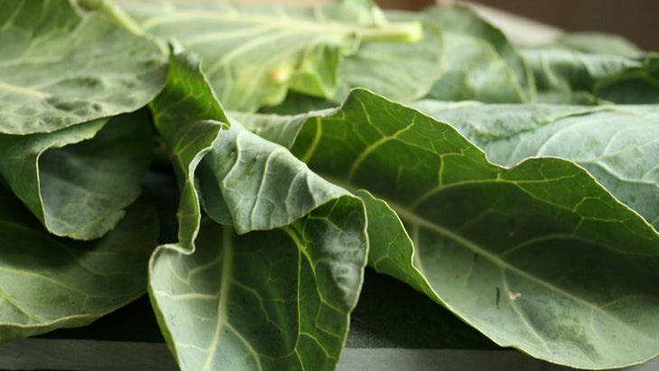 collards collards