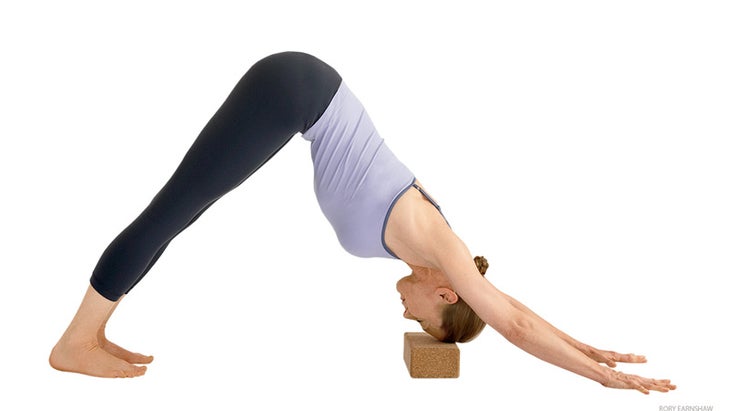 HP_216_02 downward facing dog with block assist, adho mukha savasana