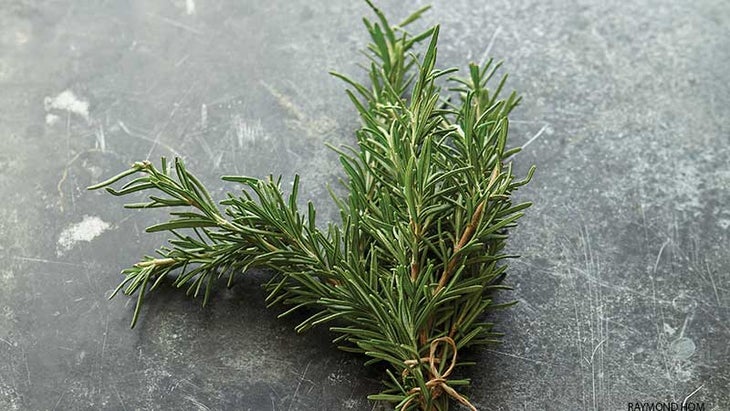 DIY_281_02_bjk-rosemary-herbs-greens