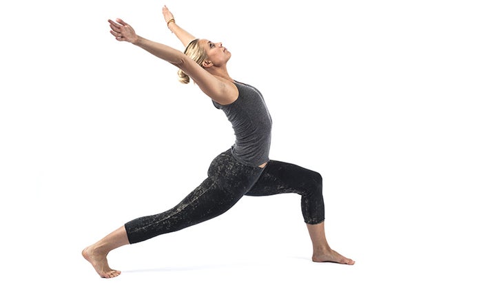 Lunging Arm Circle Lunging Arm Circle