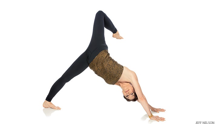 HP_282_18212_FNL scorpion dog pose