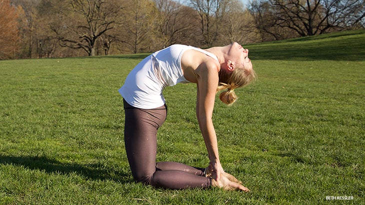 10-CamelPose-AR