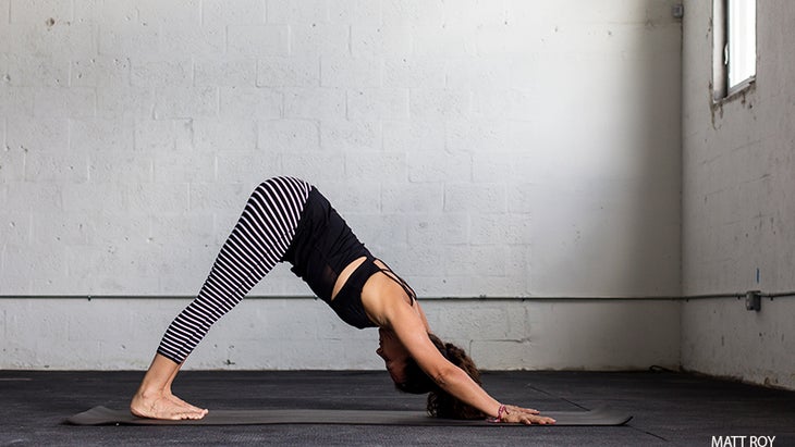 down dog, Adho Mukha Svanasana