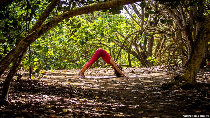 Forest Yoga, Downward Facing Dog Forest Yoga, Downward Facing Dog