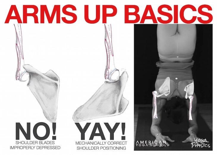 Arms-overhead-anatomy